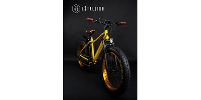Fahrradwerkstatt Suche - Niederrhein - eStallion E-Fatbike | Chevrom GmbH